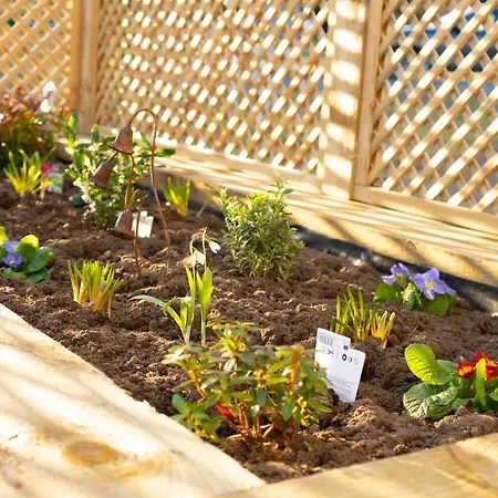 Hollicarrs - Bluebell Domek letniskowy *