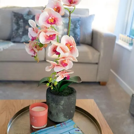 Hollicarrs - Bluebell