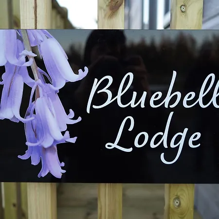 Lodge Hollicarrs - Bluebell Riccall